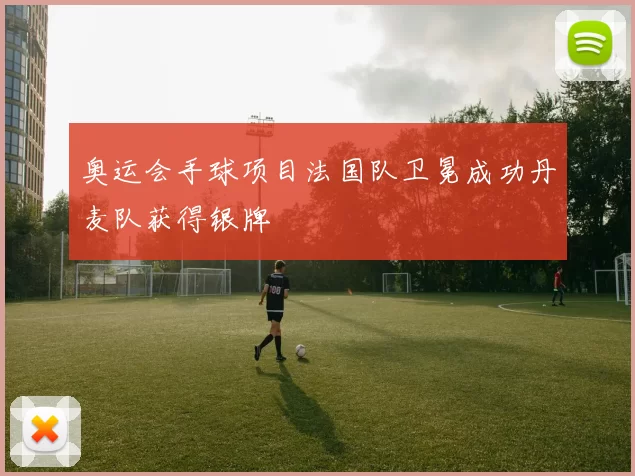 奥运会手球项目法国队卫冕成功丹麦队获得银牌